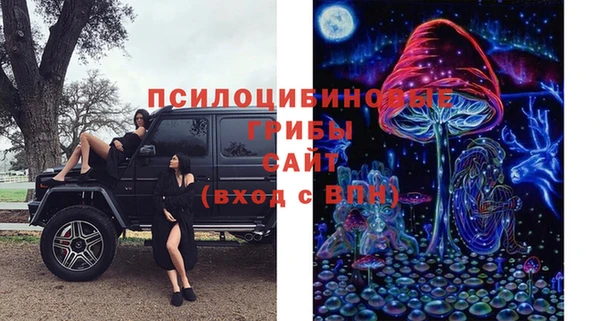 молекула духа Пересвет