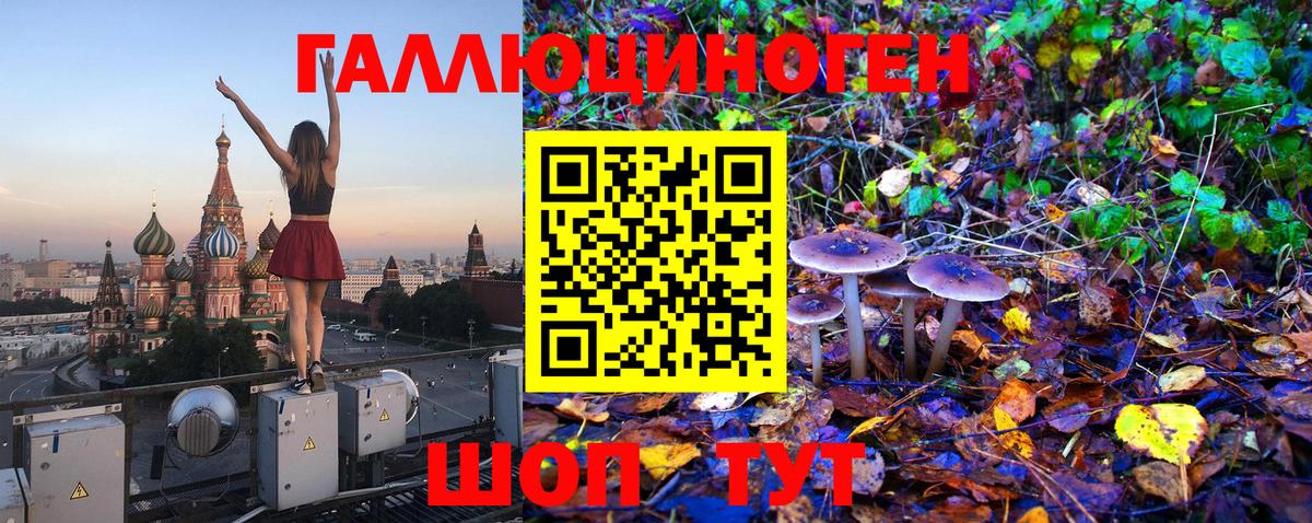 Псилоцибиновые грибы ЛСД Краснодар