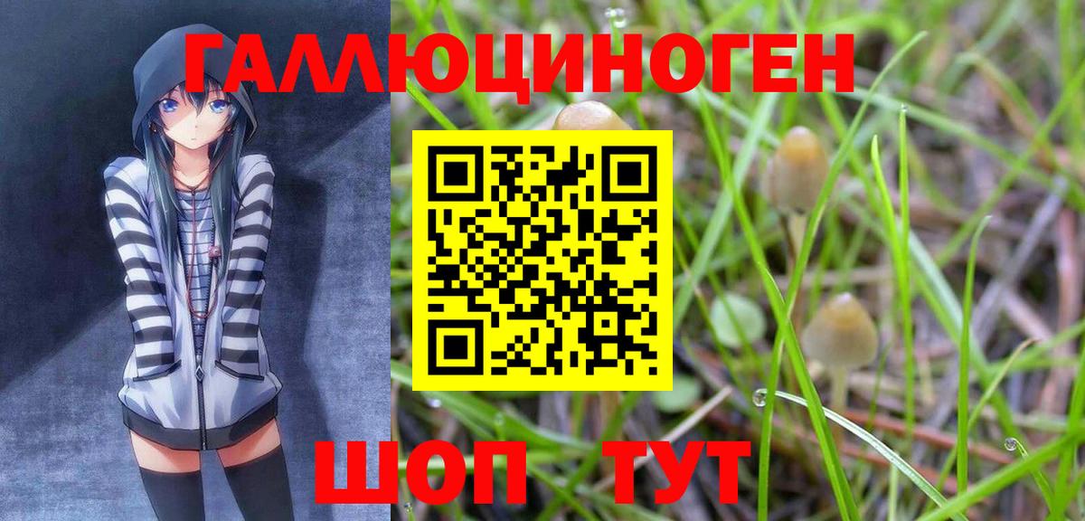Псилоцибиновые грибы Magic Shrooms  Вход с VPN  Краснодар  Псилоцибиновые грибы Cubensis 